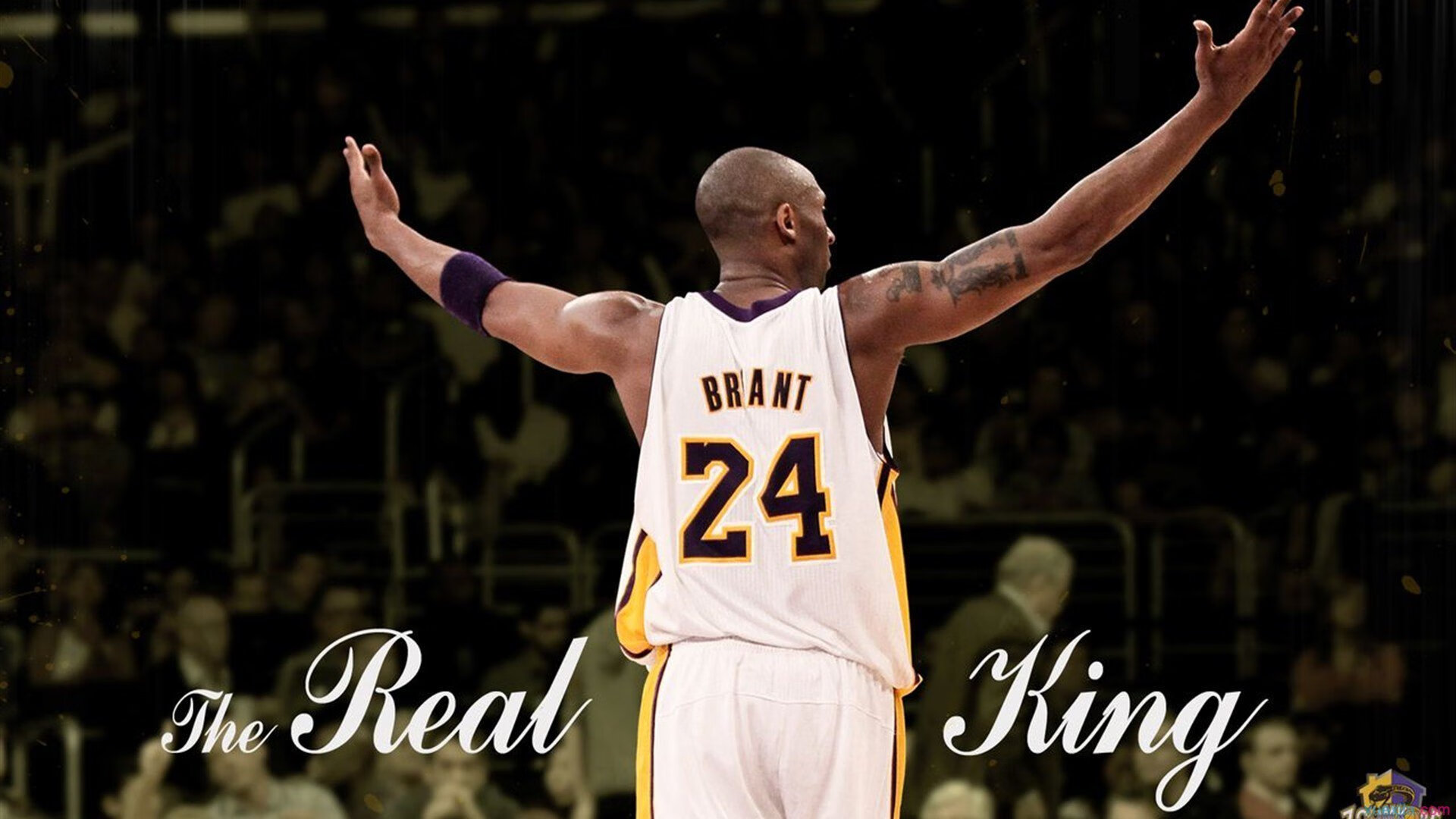 【罚分大战】比赛中罚分如何改变全局？专家深度解读，罚分线在哪